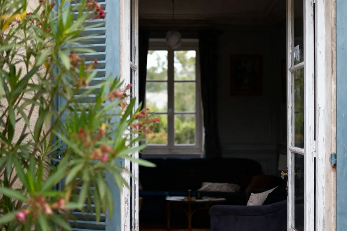 Plante fleurie encadrant une fenêtre ouverte avec vue intérieure sur salon sombre, canapé et table basse.