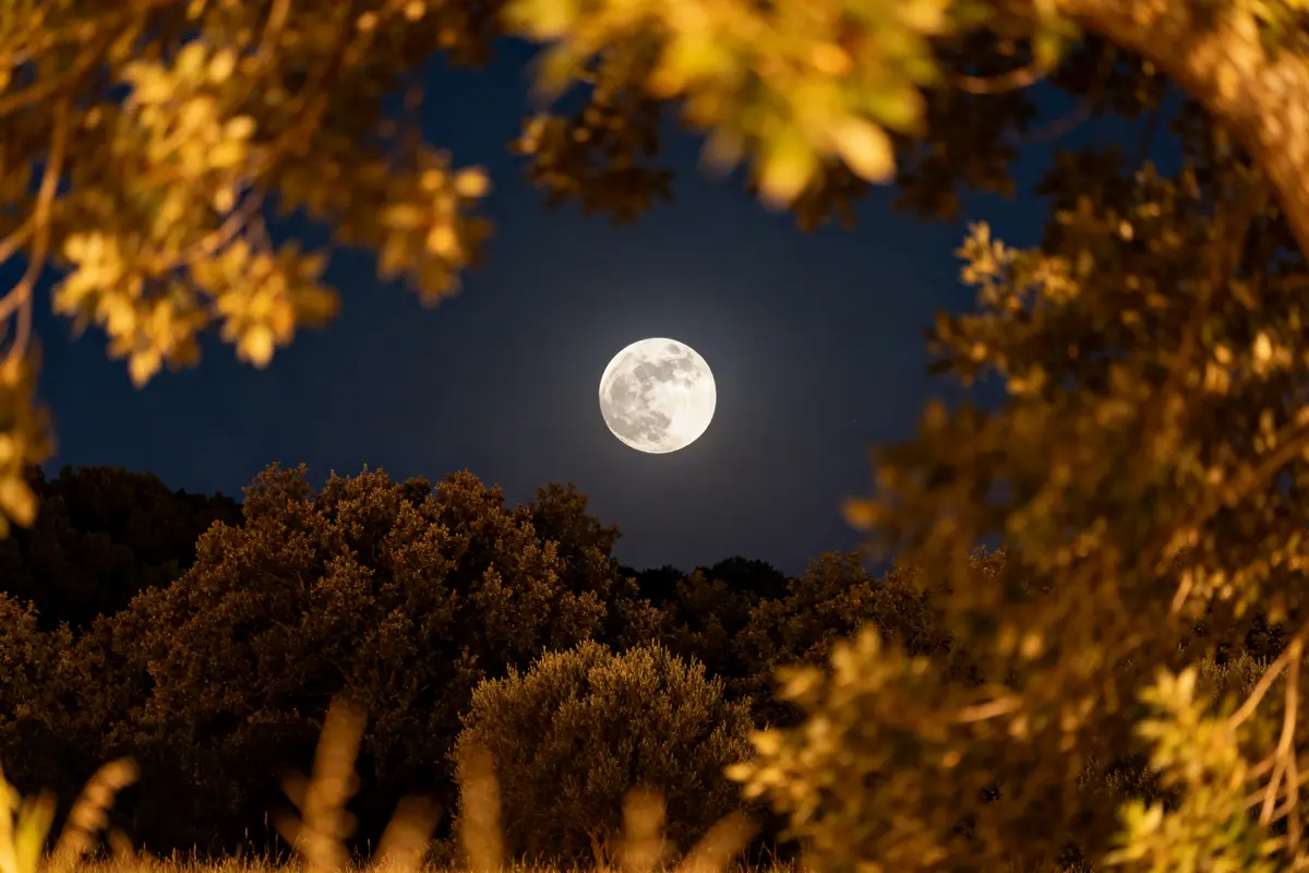 Pleine lune en août 2025 : Effets puissants sur 3 signes