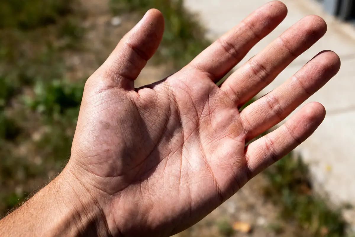 Lignes de la main : Comment les lire et comprendre leur signification ?